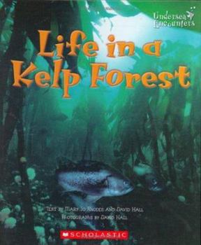 Library Binding Life in a Kelp Forest Book