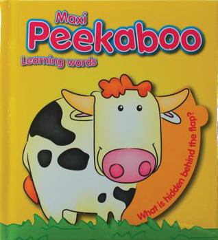 Board book Learning Words Book