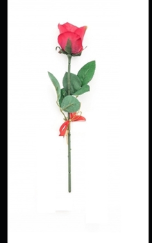 ROSA DE PLÁSTICO: JOHNNY (Portuguese Edition)