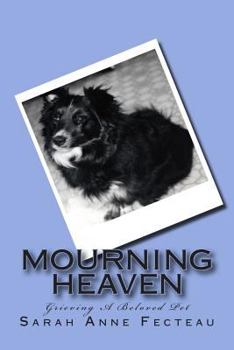 Paperback Mourning Heaven Book