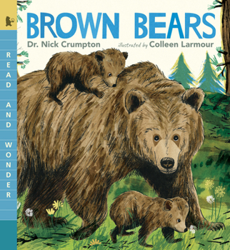 Paperback Brown Bears Book