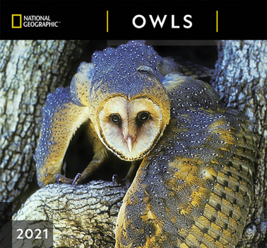 Calendar Cal 2021- National Geographic Owls Wall Book