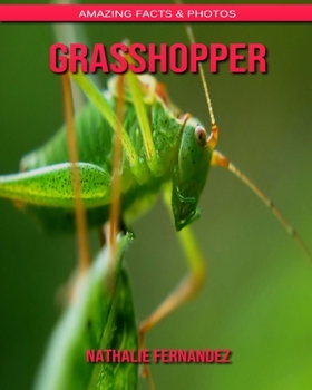 Grasshopper: Amazing Facts & Photos