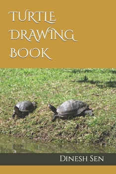 Turtle Drawing Book