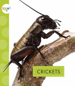 Crickets - Book  of the Spot Creepy Crawlies