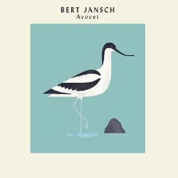 Vinyl Avocet (Ltd Art Print Edition) Book