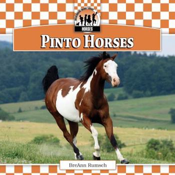 Pinto Horses - Book  of the Horses
