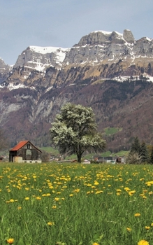Paperback Notebook: The Alps dandelion field panorama village plants spring Book