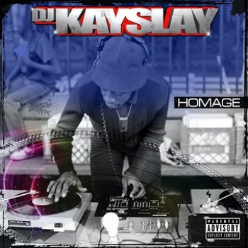 Vinyl Homage Book