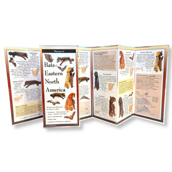Hardcover Bats of Eastern North America Book
