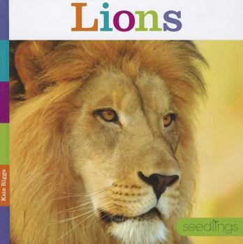 Library Binding Lions Book