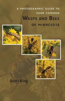 Paperback A Photographic Guide to Some Common Wasps and Bees of Minnesota Book