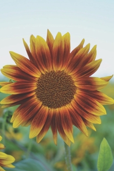 Paperback Journal: 150 Lined & Dated Sheets, 6x9 Inches, Inspirational Sunflower, Diary & Notebook for Writing, Brainstorming, Note Takin Book