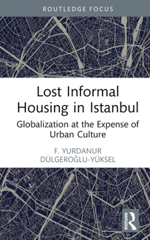Lost Informal Housing in Istanbul