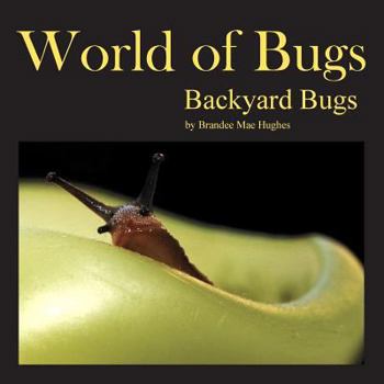 Paperback World of Bugs: Backyard Bugs Book