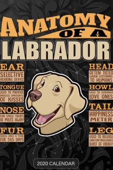Anatomy Of A Labrador Retriever: Labrador Retriever 2020 Calendar - Customized Gift For Labrador Retriever Dog Owner