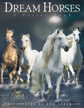 Paperback Dream Horses: A Poster Book