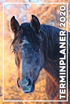 Terminplaner 2020: Jahresplaner von September 2019 bis Dezember 2020 mit Pferd - Planer mit 174 Seiten in weiß im Format A5 mit glänzendem Soft Cover. (German Edition)
