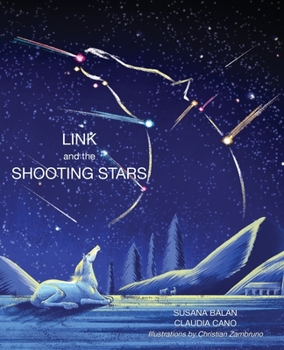 Paperback Link and the Shooting Stars Book