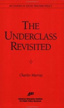 Paperback The Underclass Revisited Book