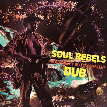 Vinyl Soul Rebels Dub Book