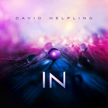 Vinyl David Helpling   In Book