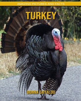 Paperback Turkey: Amazing Pictures and Facts Book