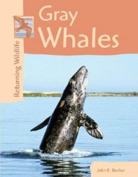 Hardcover Gray Whales Book