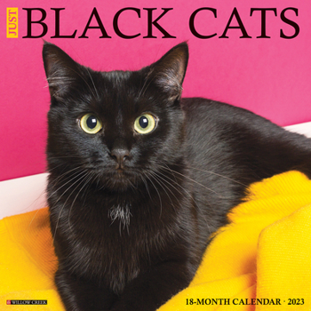 Calendar Just Black Cats 2023 Wall Calendar Book