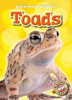 Toads - Book  of the Backyard Wildlife