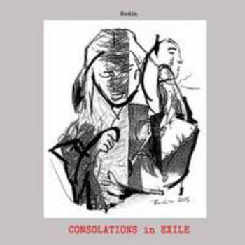 Paperback Consolations Book