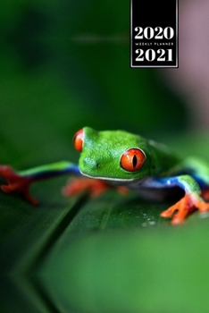 Paperback Frog Toad Week Planner Weekly Organizer Calendar 2020 / 2021 - Leaf Climber: Cute Wildlife Animal Pet Bullet Journal Notebook Diary in 6" x 9" Inch Po Book