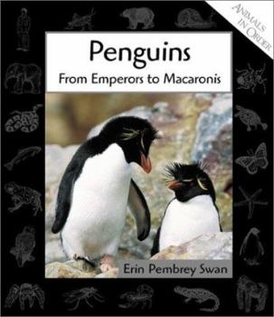 Library Binding Penguins: From Emperors to Macaronis Book