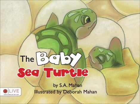 Paperback The Baby Sea Turtle Book