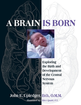 Paperback A Brain Is Born: Exploring the Birth and Development of the Central Nervous System Book