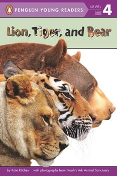 Paperback Lion, Tiger, and Bear Book