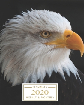 Paperback 2020: Weekly and Monthly Planner/Calendar Jan 2020 - Dec 2020 Bold Bald Eagle Book