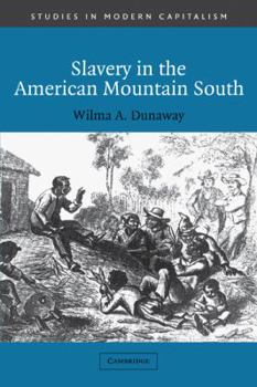 Paperback Slavery in the American Mountain South Book