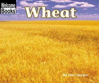 Wheat (Welcome Books: Harvesttime) - Book  of the Harvesttime Series