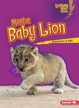 Meet a Baby Lion - Book  of the Baby African Animals
