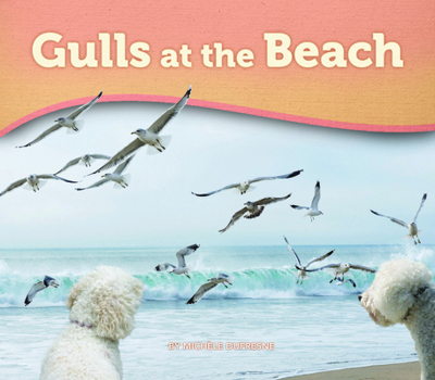 Gulls at the Beach