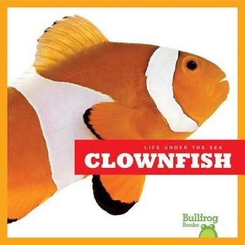 Clownfish - Book  of the Life Under the Sea