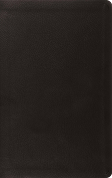 ESV Value Thinline Bible (Trutone, English Saddle)