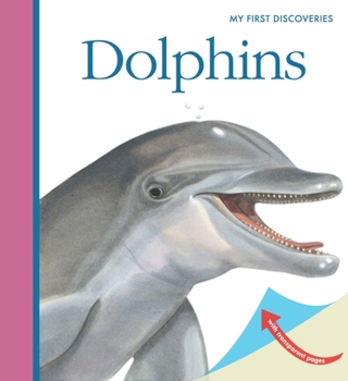 Spiral-bound Dolphins Book