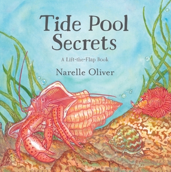 Hardcover Tide Pool Secrets Book