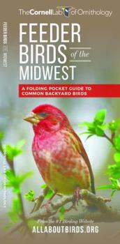 Paperback Feeder Birds of the Midwest: A Folding Pocket Guide to Common Backyard Birds Book