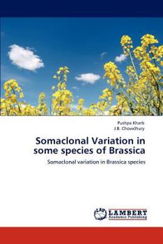 Paperback Somaclonal Variation in some species of Brassica Book