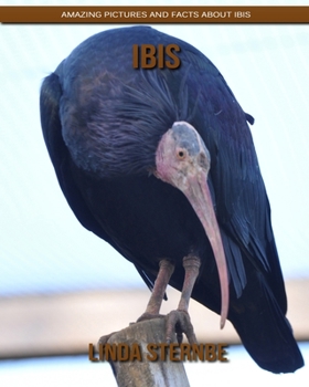 Paperback Ibis: Amazing Pictures and Facts About Ibis Book