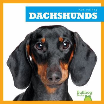 Library Binding Dachshunds Book