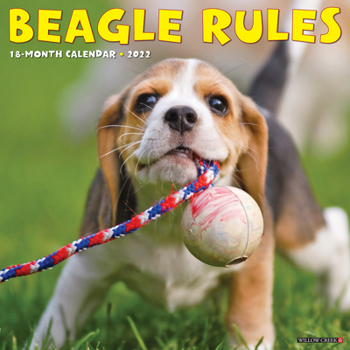 Calendar Beagle Rules 2022 Wall Calendar (Dog Breed) Book